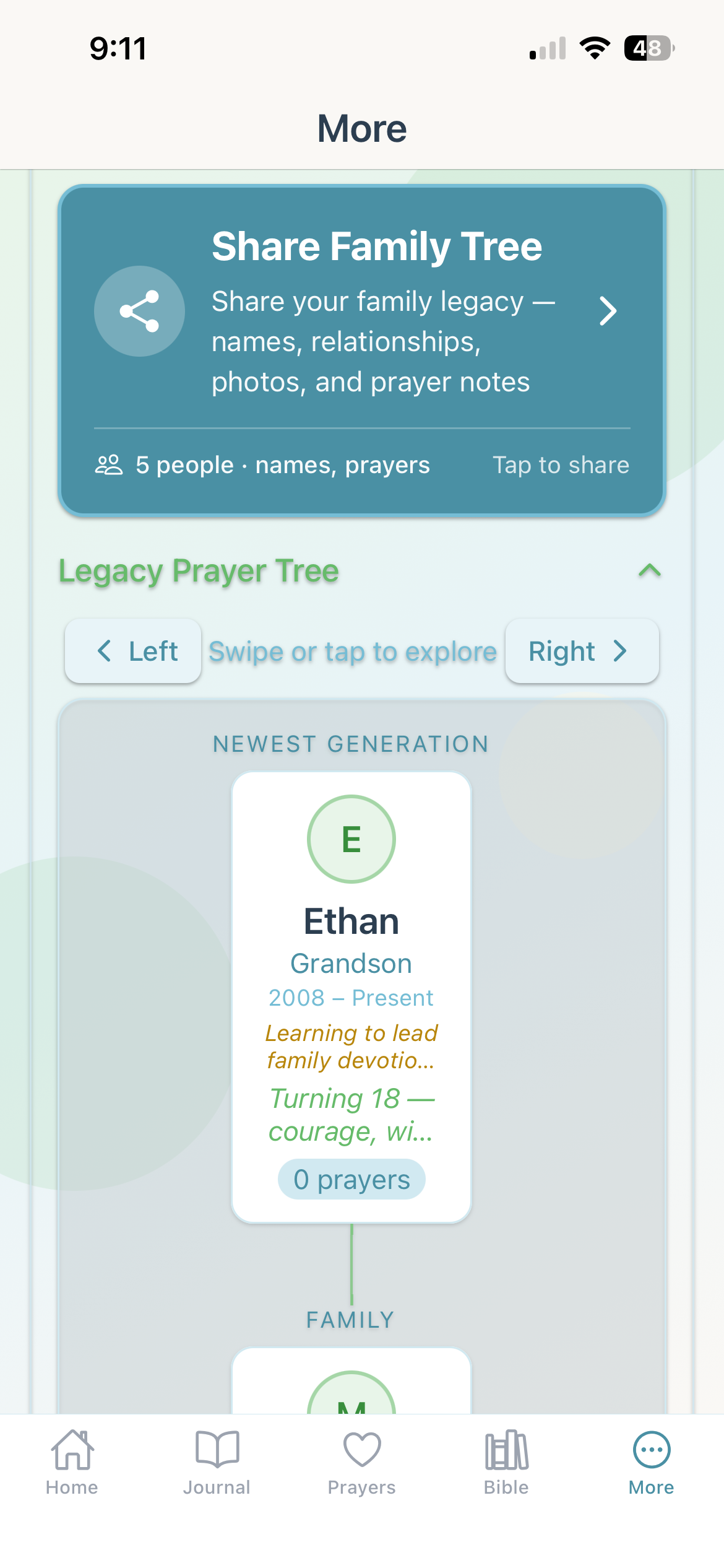 Good Shepherd Screenshot 5